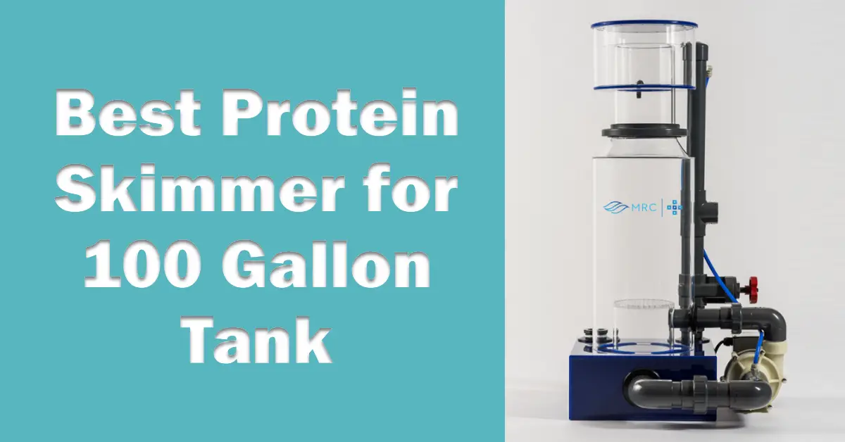 Best Protein Skimmer for 100 Gallon Tank