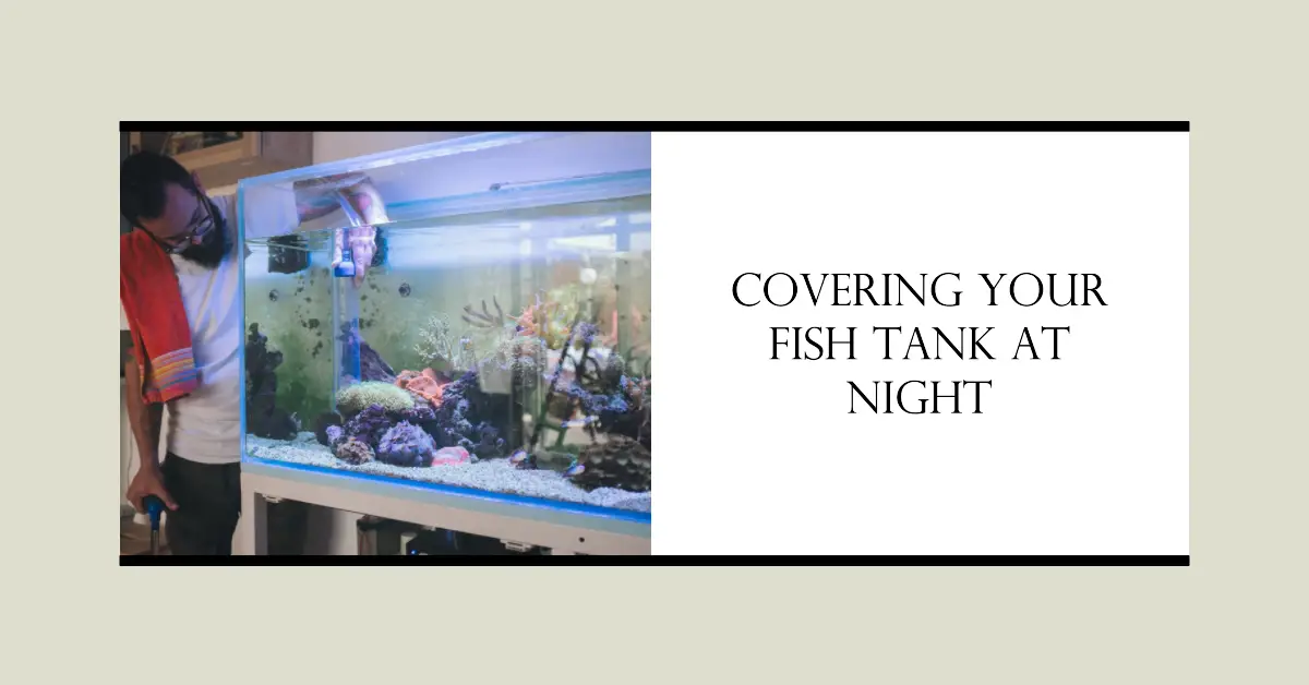 Can I Cover My Fish Tank with a Towel at Night?