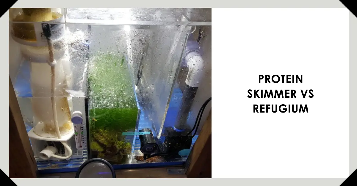 Protein Skimmer vs Refugium
