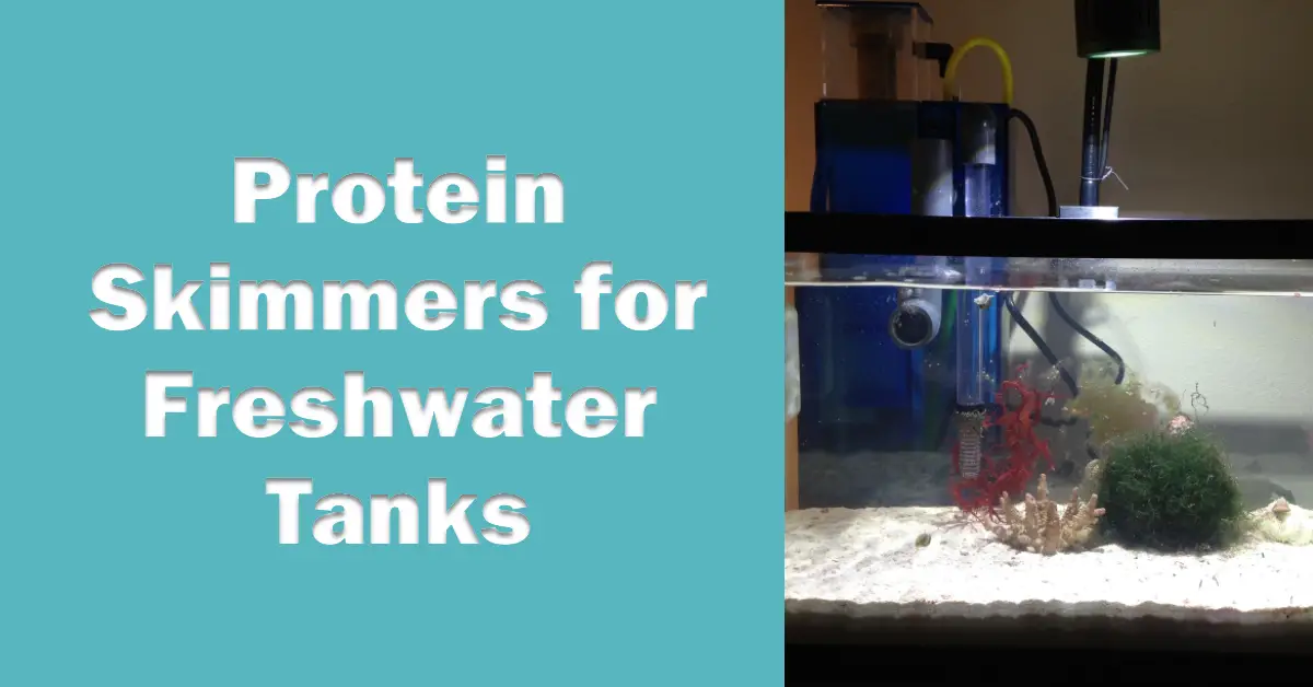 can I use a protein skimmer on a freshwater tank