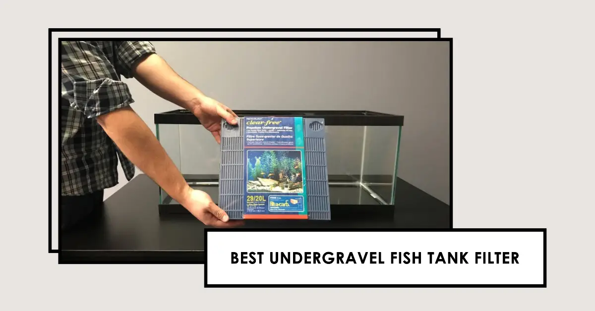 Best Undergravel Fish Tank Filter
